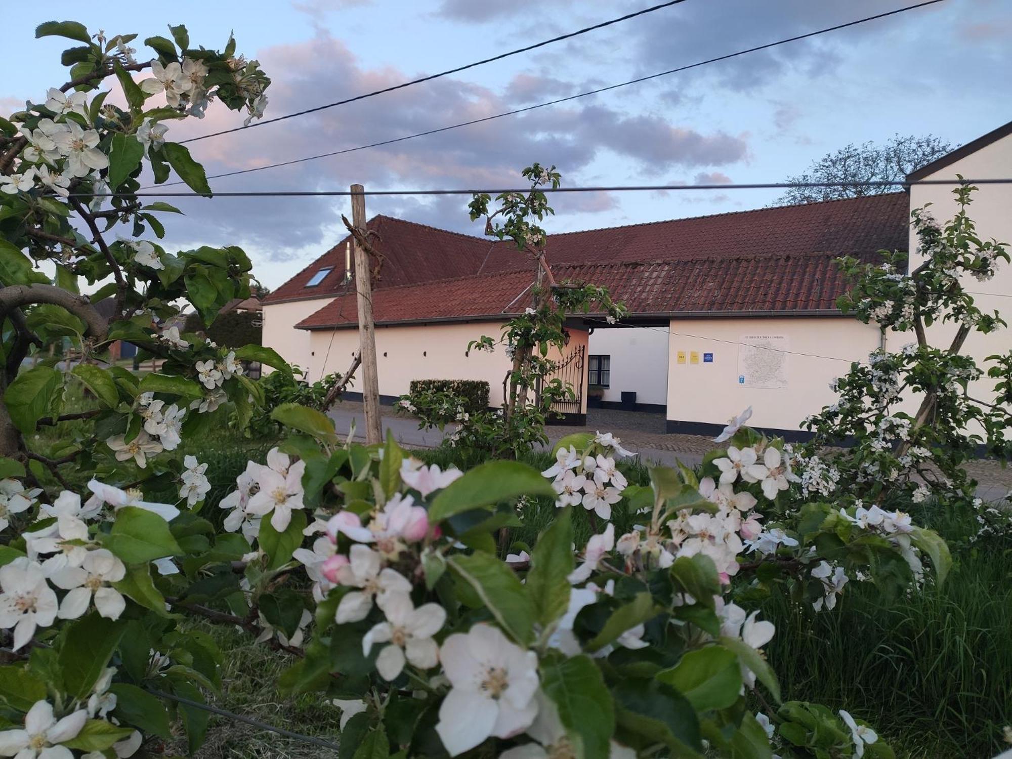 Bed and Breakfast Het Hemelsveld Hasselt Exterior foto